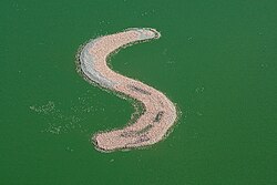Flamingos on an artificial island in Kamfers Dam. This feature was submerged for a time as water levels rose in 2012