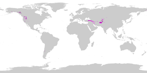 Regions where the Mediterranean-influenced continental climates (Dsa, Dsb, Dsc, Dsd) are found as of 1991-2020, using a threshold of −3 °C (27 °F) for the coldest month. Dsa Dsb Dsc Dsd