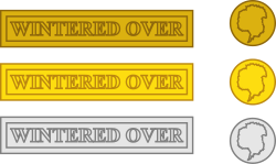 Illustration of the three versions of the Wintered Over Device from the United States Antarctica Service Medal