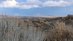 View of sand dunes and vegetation at Fossil Lake, with the Christmas Valley Sand Dunes, Feb. 21, 2017