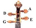 Scroll and pegbox, correctly strung
