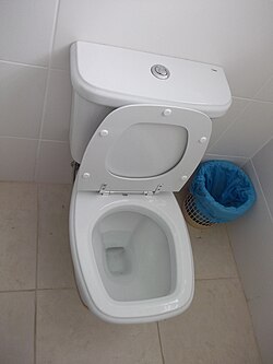 A dual flush toilet; note the two buttons at the top of the cistern.