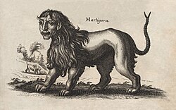 Manticore or "Martigora" ― Johannes Jonston (1652), Historiae NaturalisCopperplate engraving by Matthäus Merian.