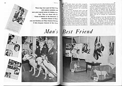 Medical researchers, and their allies in the armed forces, awarded military-style medals to animals in laboratories to emphasize the martial significance of animal experimentation. Here, Army Surgeon General Major General Norman T. Kirk, on behalf of the Friends of Medical Research, bestows medals upon research dogs Trixie and Josie "for outstanding services to humanity."