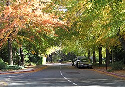 Linnaeus Way at ANU
