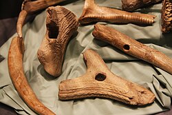 A Cucuteni-Trypillian culture deer antler plough