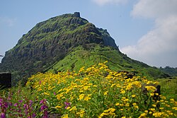 Monsoons scrub India's air, bringing its natural diversity in better view.