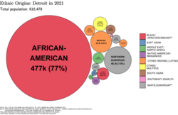 Ethnic origins in Detroit