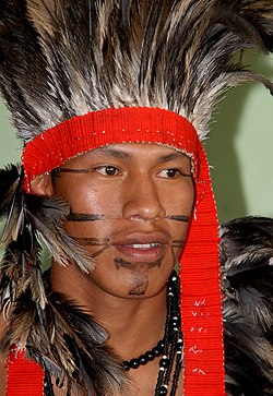 An Indigenous Terena man from present-day Brazil