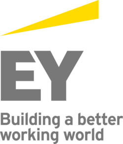 EY logo, 2013–2018