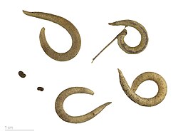Fruits and seeds of Astragalus hamosus