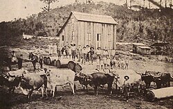 Italian immigrants in Rio Grande do Sul, late 19th century