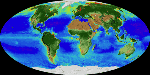 On land, vegetation appears on a scale from brown (low vegetation) to dark green (heavy vegetation); at the ocean surface, phytoplankton are indicated on a scale from purple (low) to yellow (high).