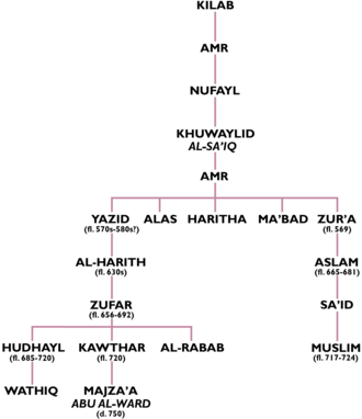 Genealogical tree of the Amr division of the Kilab. Two members of the clan, Aslam ibn Zur'a and Zufar ibn al-Harith, and their descendants were preeminent leaders of the Qays tribes in Basra and Qinnasrin (north Syria), respectively