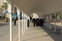 Female students at the University of Bahrain dressed in traditional garb