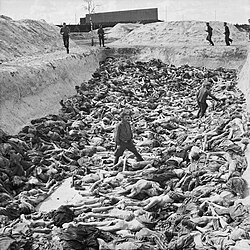 Victims of the Holocaust in a mass grave at Bergen-Belsen concentration camp