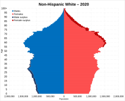 Population pyramid of Non-Hispanic Whites in 2020.