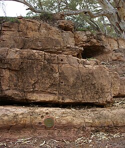The 'golden spike' (bronze disk in the lower section of the image) or 'type section' of the Global Boundary Stratotype Section and Point (GSSP) for the base of the Ediacaran System