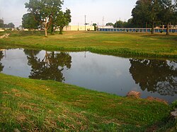 Trees are reflected in Bayou Rapides east of MacArthur Drive in Alexandria