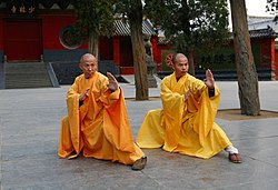 Grandmasters of the Shaolin Temple, Shi DeRu and Shi DeYang, demonstrating the Southern Praying Mantis style of martial art