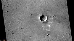 Zumba seen by MRO's CTX