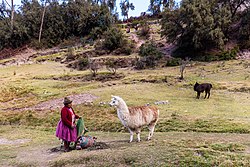 Tambomachay, Cuzco, Peru