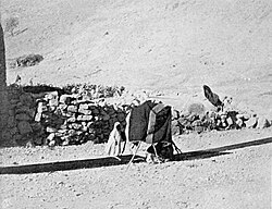 Weaving lengths of fabric for tent making using ground loom. Palestine, c. 1900
