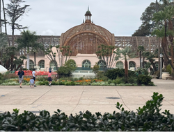 The Botanical Building is considered to be one of the largest lath wooden creations in the world and is home to over 2000 varieties of vegetation. It is located adjacent to the lily pond in Balboa Park, San Diego, CA and is currently undergoing a lengthy renovation, 2024.