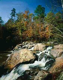 A creek flowing through Chewacla State Park in Auburn.