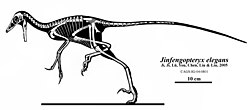 Skeletal reconstruction