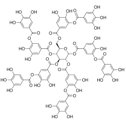 Representative chemical structure of tannic acid, a type of tannin