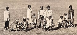 Three cheetahs with handlers in Vadodara, c. 1890s