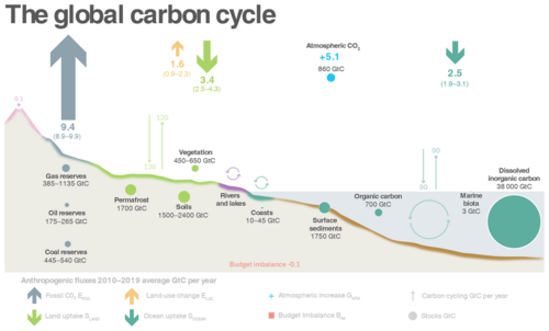 Schematic representation of the overall perturbation of the global carbon cycle caused by anthropogenic activities, averaged from 2010 to 2019[90]
