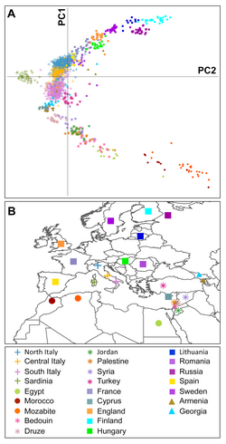 Principal component analysis of the Italian population with other populations