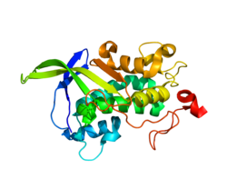 A structural render of the NPC1 protein