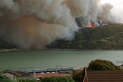 Wildfire in Whitireia Park in 2010