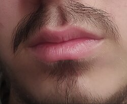 Lips of a young man