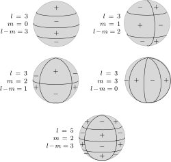 Schematic representation of spherical harmonics on a sphere and their nodal lines. Pℓ m is equal to 0 along m great circles passing through the poles, and along ℓ-m circles of equal latitude. The function changes sign each ℓtime it crosses one of these lines.