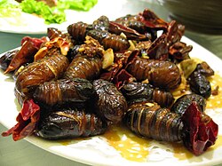 Silkworm pupae dishes