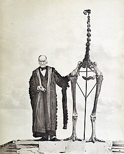 Owen with a giant moa skeleton in 1879