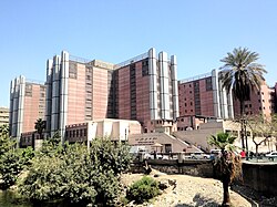 The Qasr El Eyni Hospital