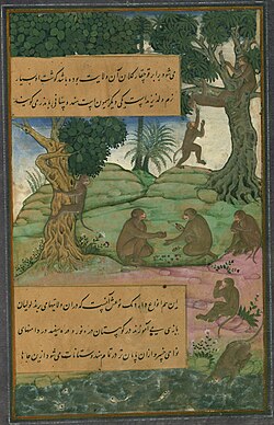 Illustration of Indian monkeys known as bandar from the illuminated manuscript Baburnama (Memoirs of Babur)
