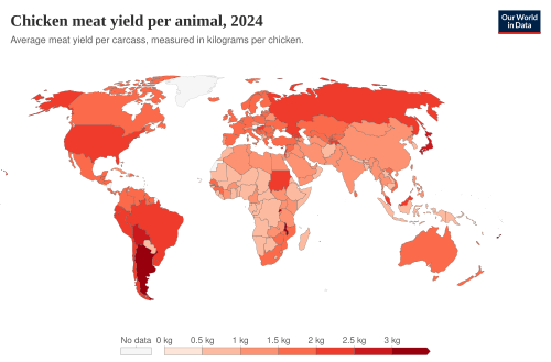 Chicken meat yields per animal