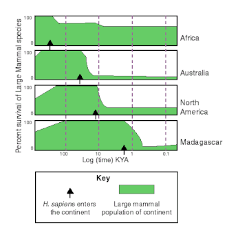 The timing of extinctions follows the "March of Man"