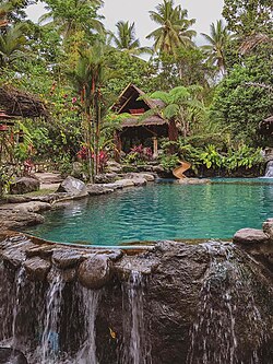 The Forest Camp Resort in Valencia