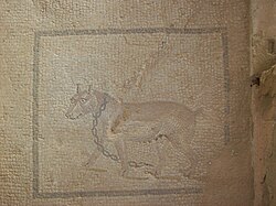 Roman mosaic of a large chained dog (with cropped ears and docked tail) at the Archaeological Park of Lilybaeum, Marsala, Sicily