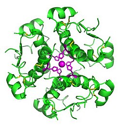 Computer-generated image of insulin hexamers highlighting the threefold symmetry, the zinc ions holding it together, and the histidine residues involved in zinc binding