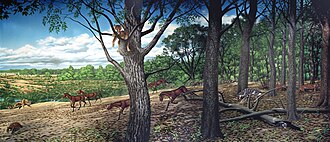 Restoration of Nimravus (far left) and other animals from the Turtle Cove Formation