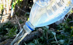 Supercooled water, still in liquid state