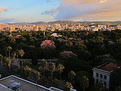 Aerial view of Farroupilha Park vegetation